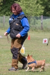 IMG_0494_900