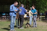 IMG_5486_900