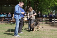IMG_5488_900
