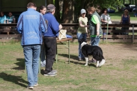 IMG_5494_900