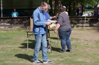 IMG_5498_900