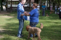 IMG_5502_900