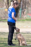 IMG_5620_900
