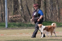 IMG_5648_900