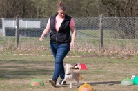 IMG_5706_900