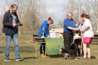 IMG_5772_900