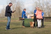 IMG_5787_900