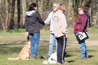 IMG_4945_900