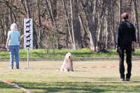IMG_5185_900