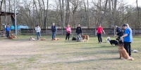 IMG_5334_900