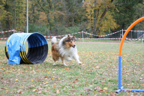 Ailo-rennt-zum-Tunnel