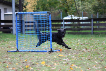 Cully-am-Gate