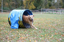 Snooker-aus-dem-Tunnel
