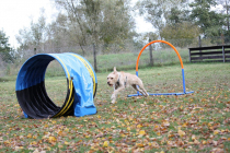 Toni-auf-dem-Weg-durch-den-Tunnel