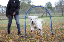 Youma-spielerisches-lernen