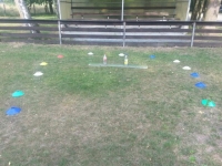 IMG-20130801-WA0007