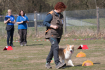 IMG_5588_900