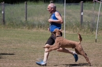 IMG_1423_900