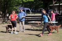 IMG_5563_900