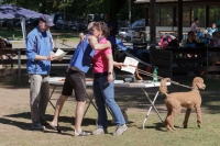 IMG_5583_900