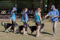 IMG_5590_900
