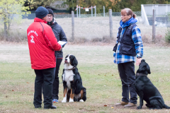 2018 Vereinsprüfung GHS