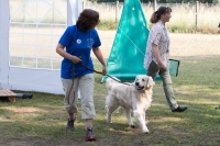 IMG_1590_900
