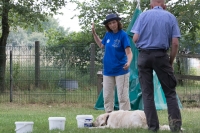 IMG_1948_900