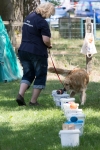 IMG_2022_900