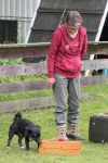 IMG_8242_900