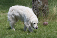 IMG_8405_900
