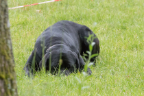 IMG_8276_900