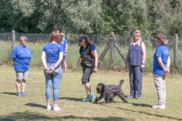 IMG_7648_900