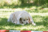 IMG_7846_900