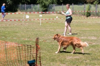 IMG_7916_900