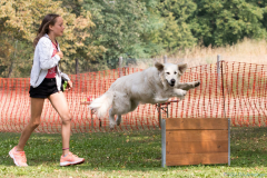 2018 Tag der offenen Tür