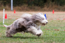 Image00001