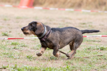 Image00006