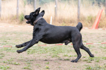 Image00008