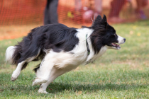 Image00013