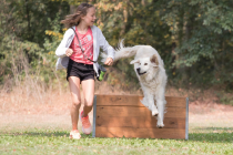 Image00022