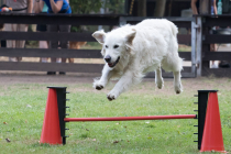 Image00029