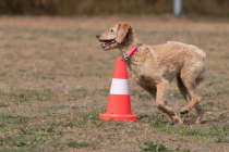 Image00031