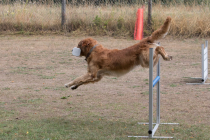Image00035