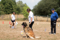 Image00053