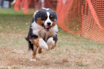 Image00056