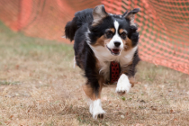 Image00057