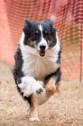 Image00059