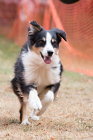Image00068