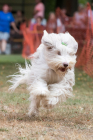 Image00069